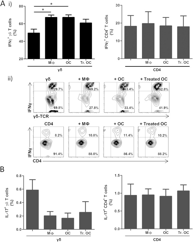 Fig. 6