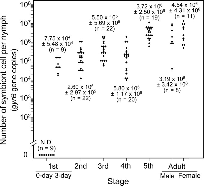 FIG 3