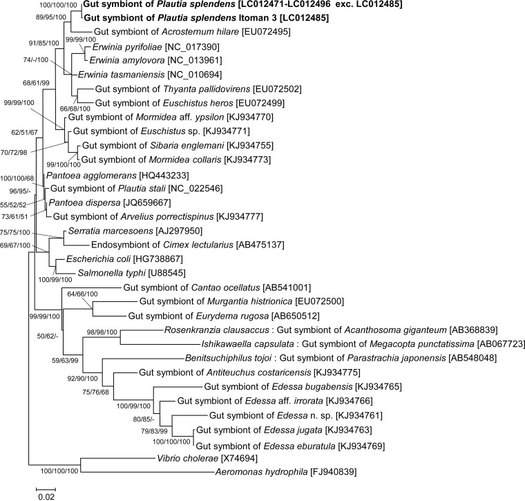 FIG 2