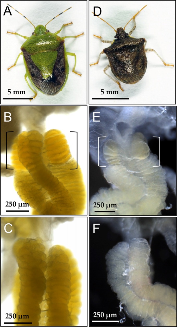 FIG 6