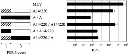 FIG. 5.