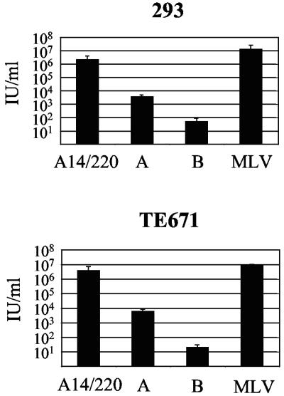 FIG. 4.