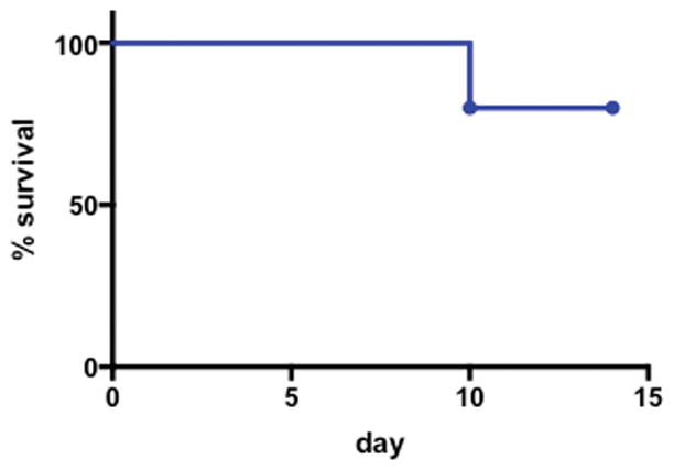 Extended Data Figure S5