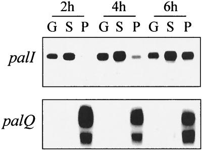 FIG. 3