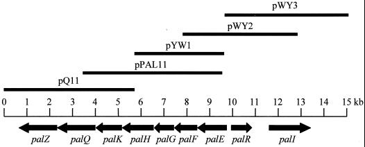 FIG. 1