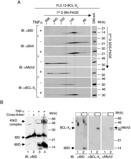 FIG. 9.