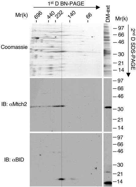 FIG. 7.