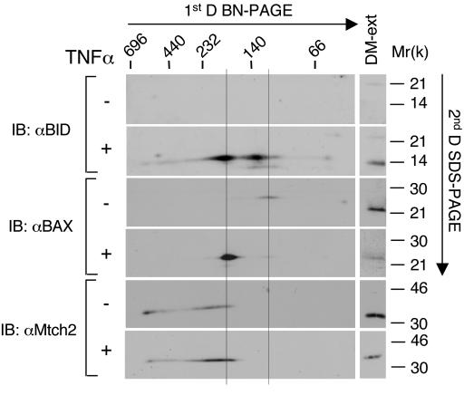 FIG. 8.