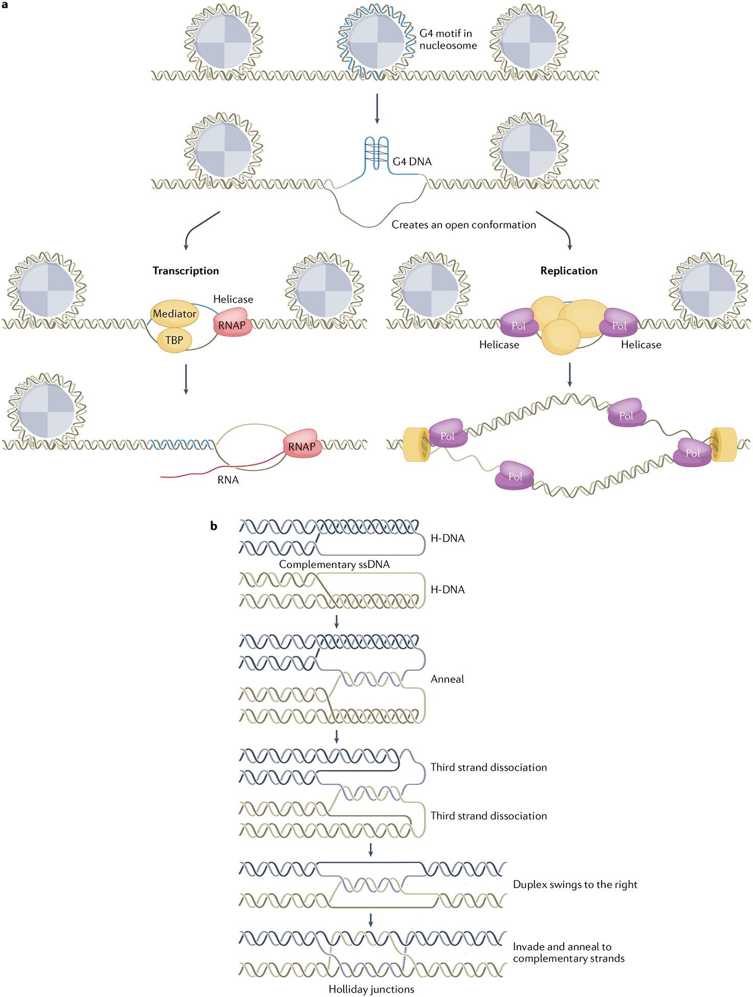 Fig. 3 |