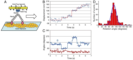 Fig. 4.