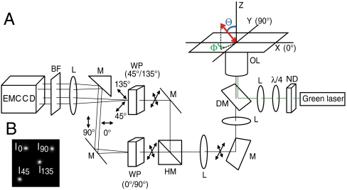 Fig. 1.