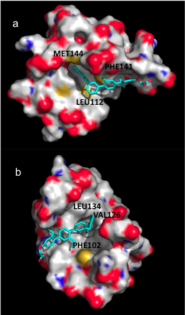 Figure 7