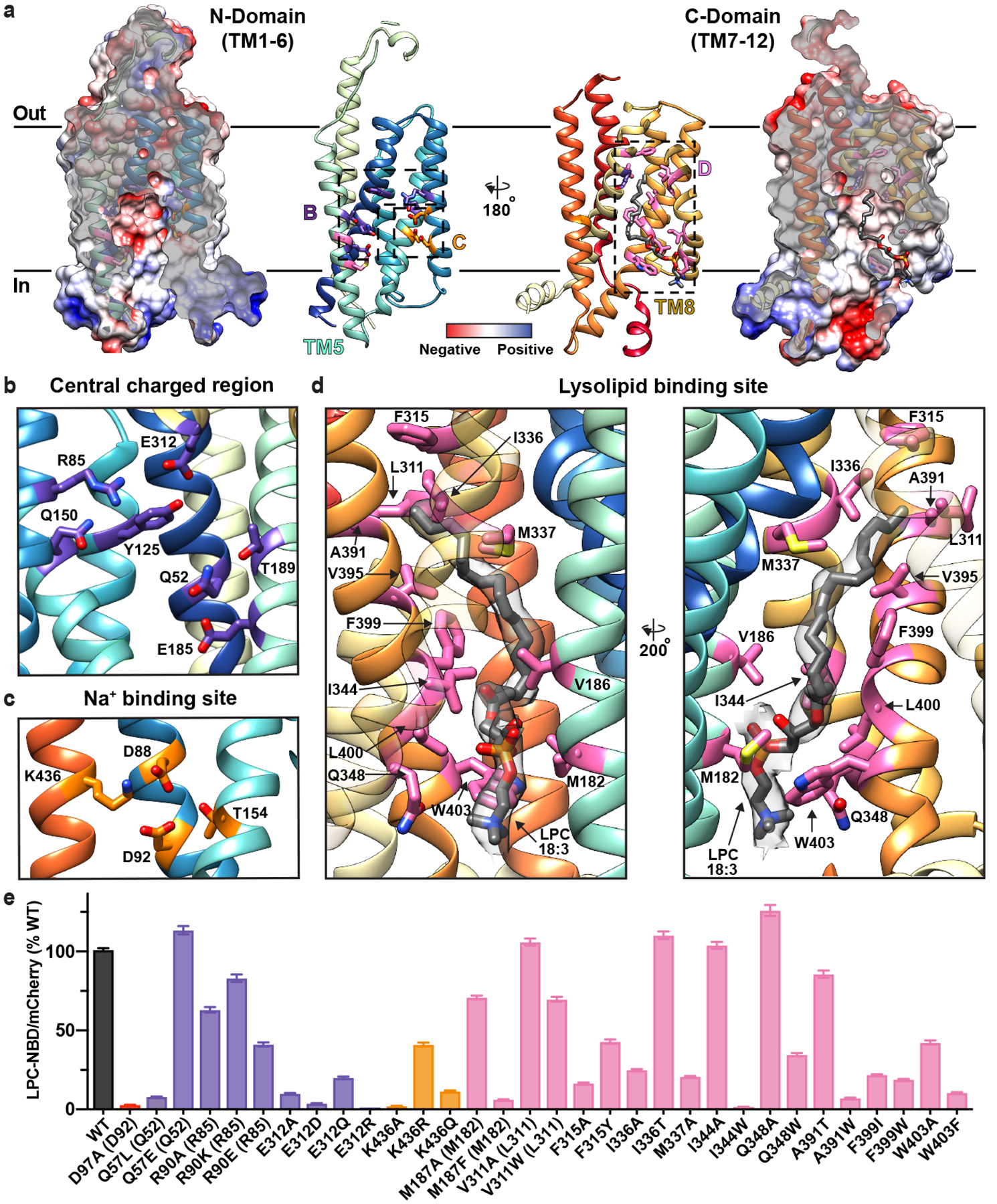 Figure 2 |