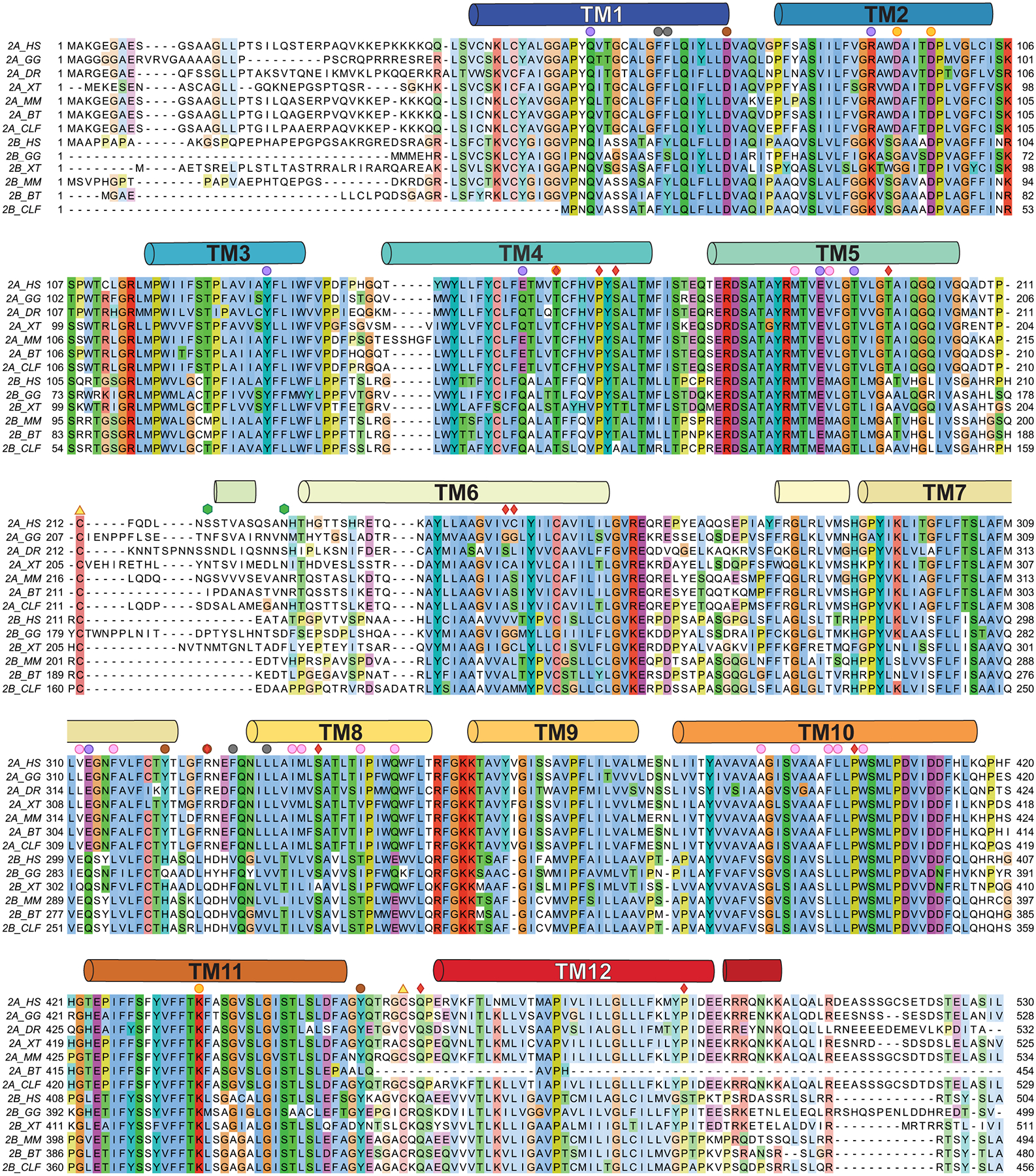 Extended Data Figure 2 |