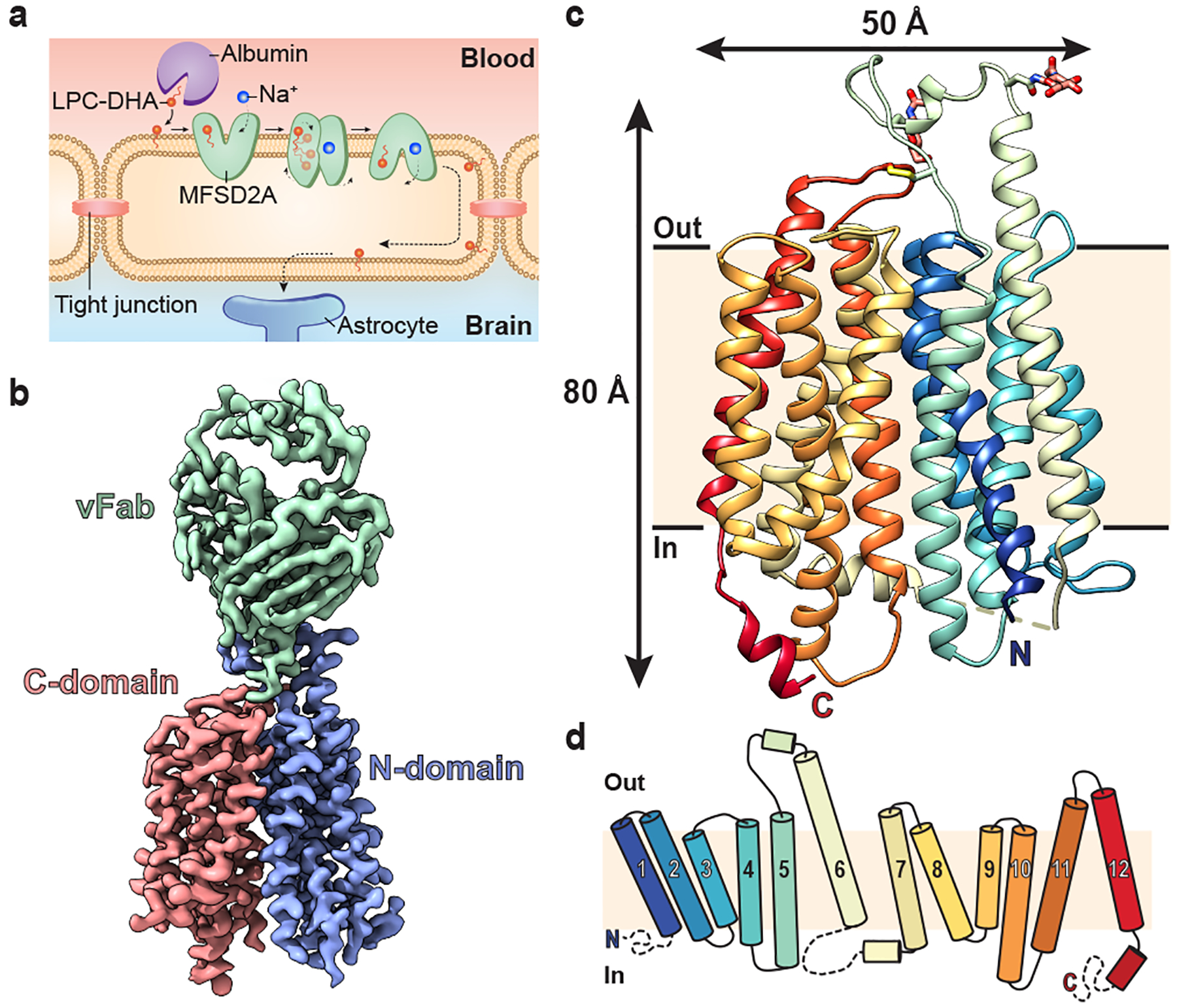 Figure 1 |