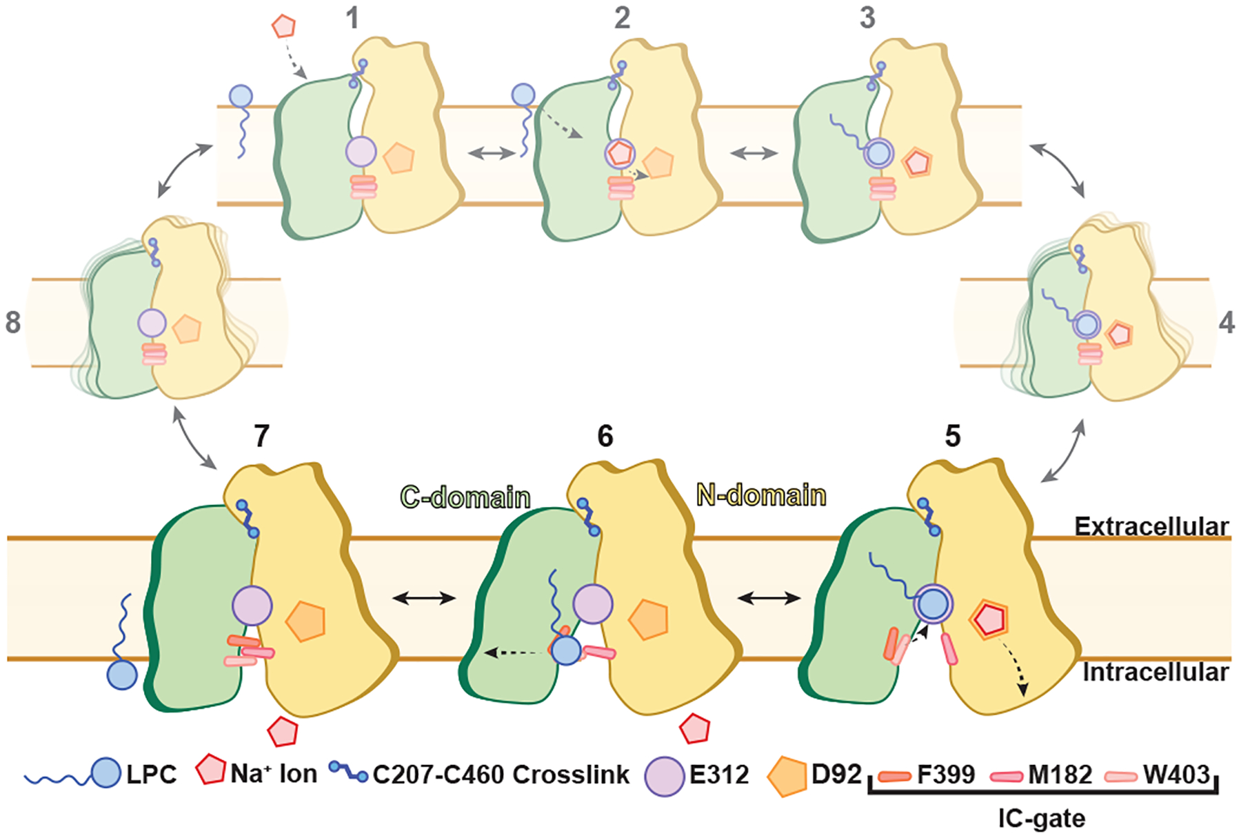 Figure 4 |