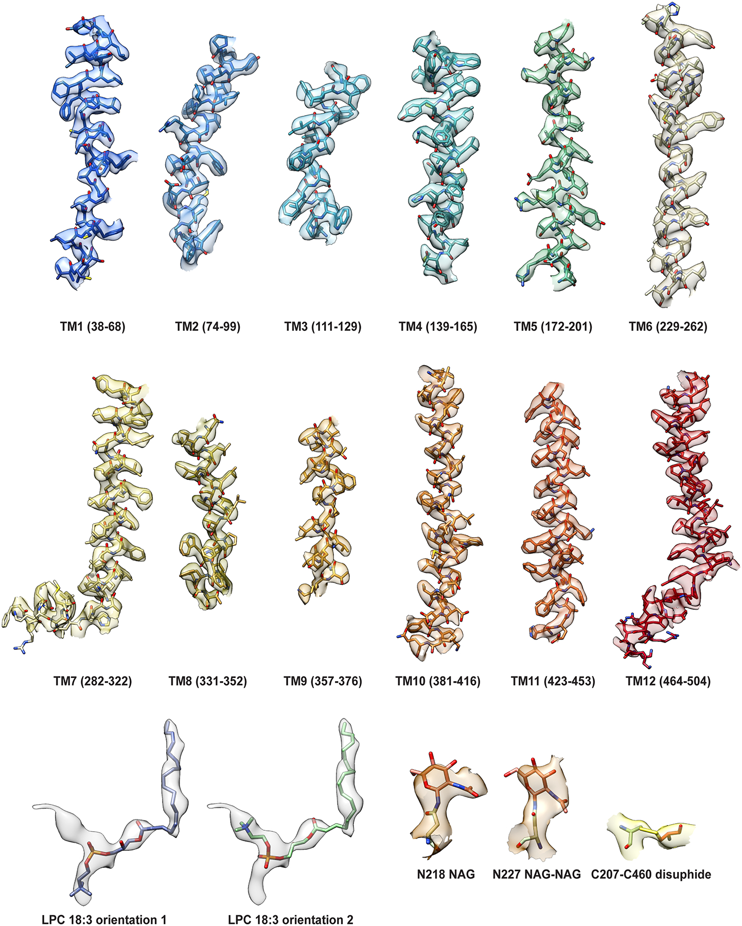 Extended Data Figure 4 |