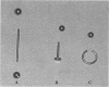 419