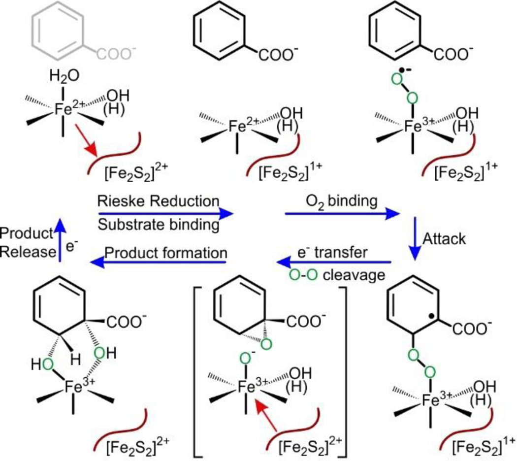 Scheme 4