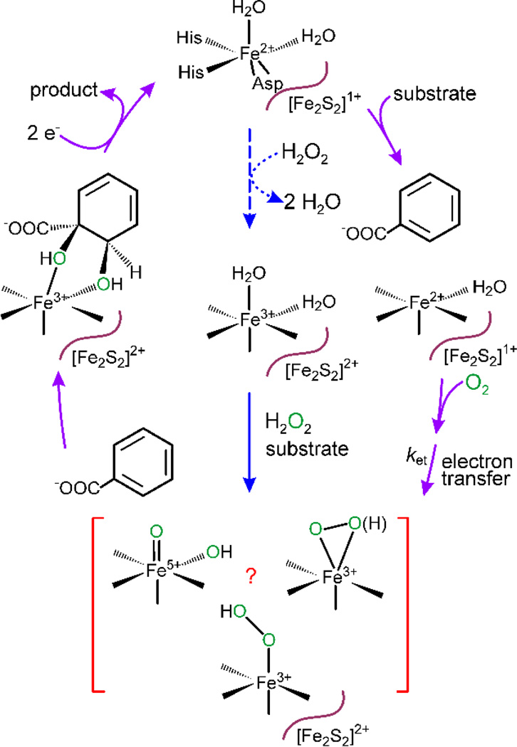 Scheme 2