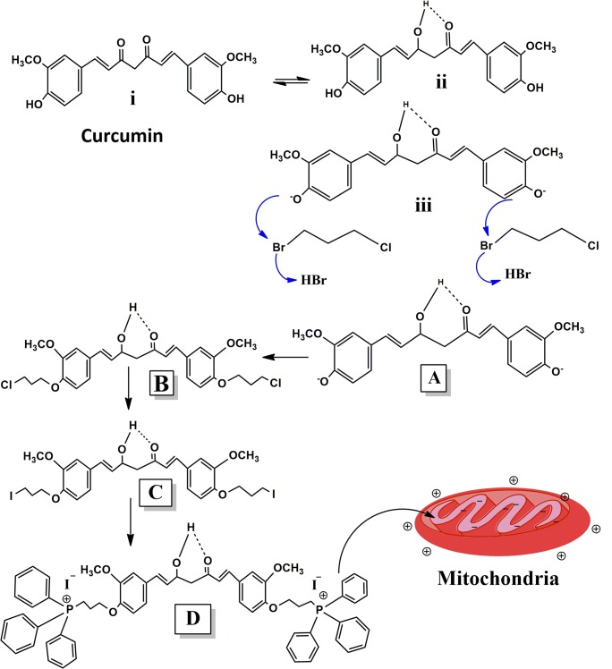 Scheme 1