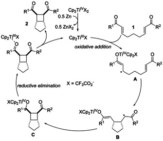 Scheme 2