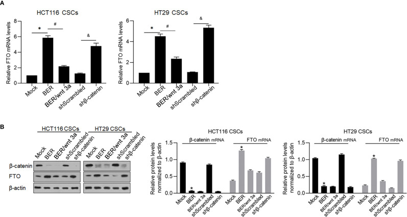 Figure 10