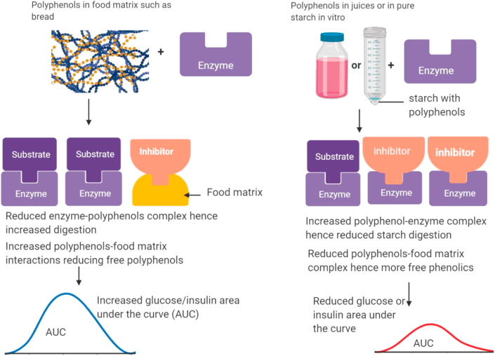 Figure 2