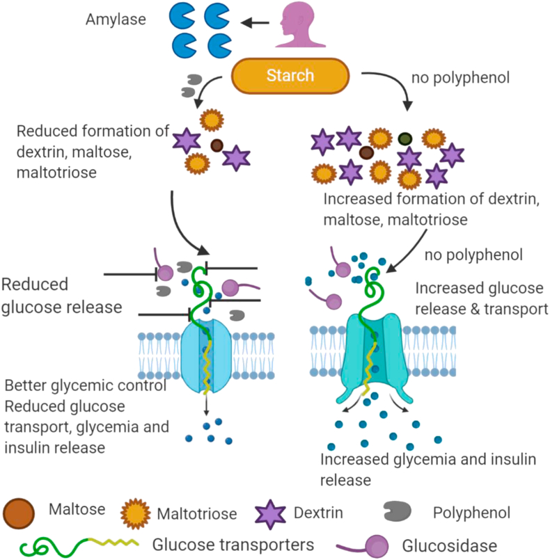 Figure 1