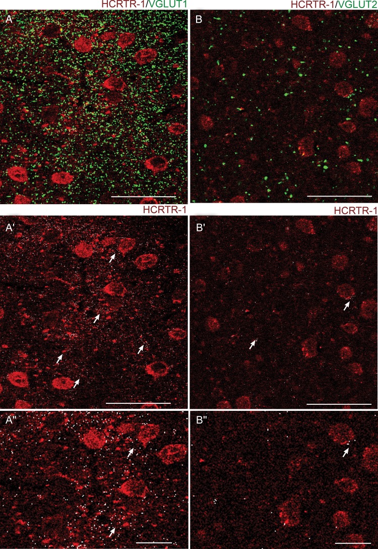 Figure 10.