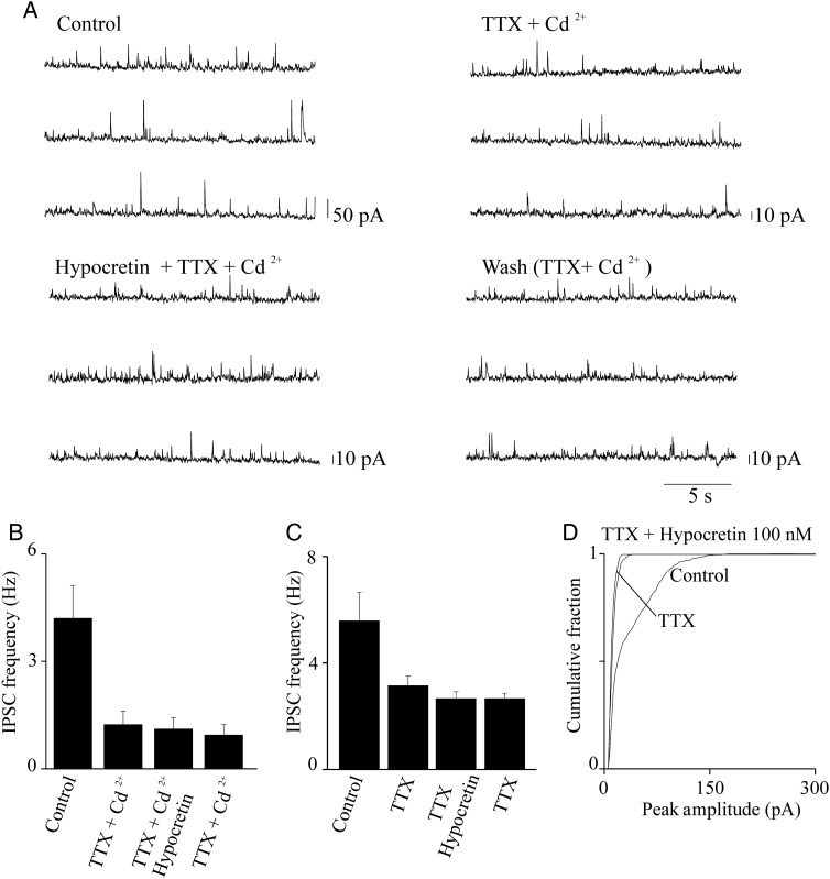 Figure 6.