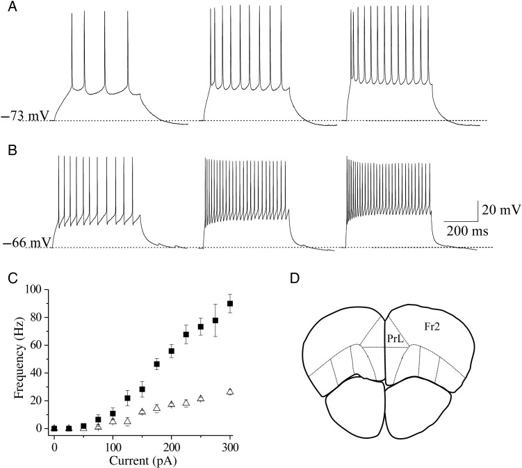 Figure 1.