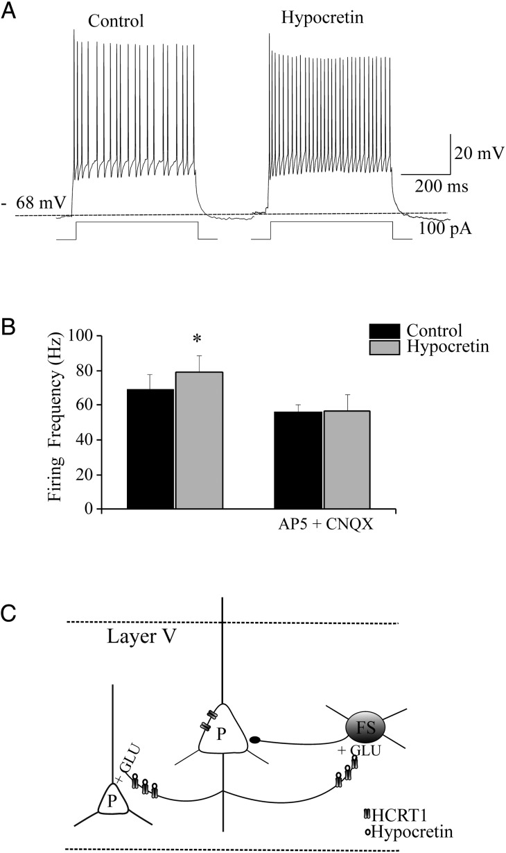 Figure 7.