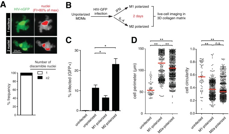 FIG 2