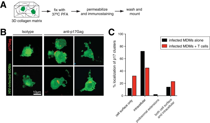 FIG 6