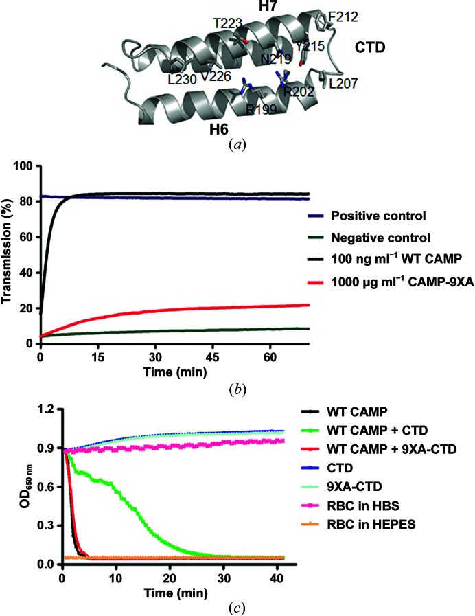 Figure 5