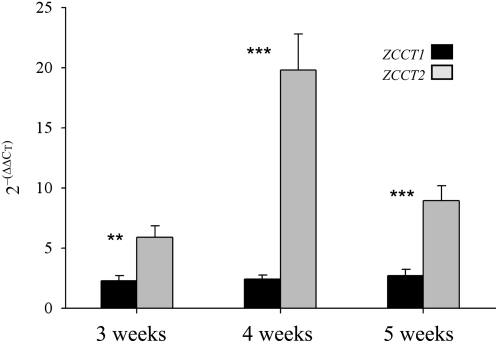 Figure 7.