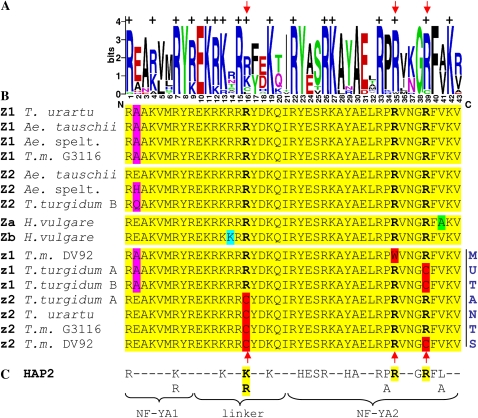 Figure 6.