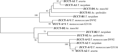 Figure 1.