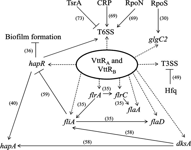 Fig 8