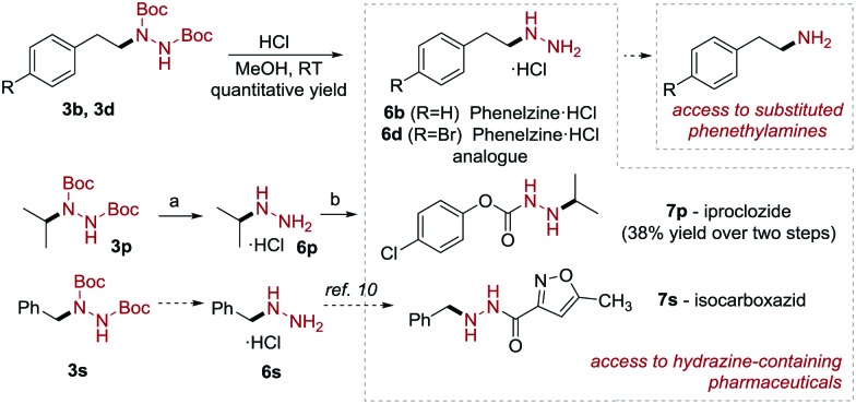 Scheme 4