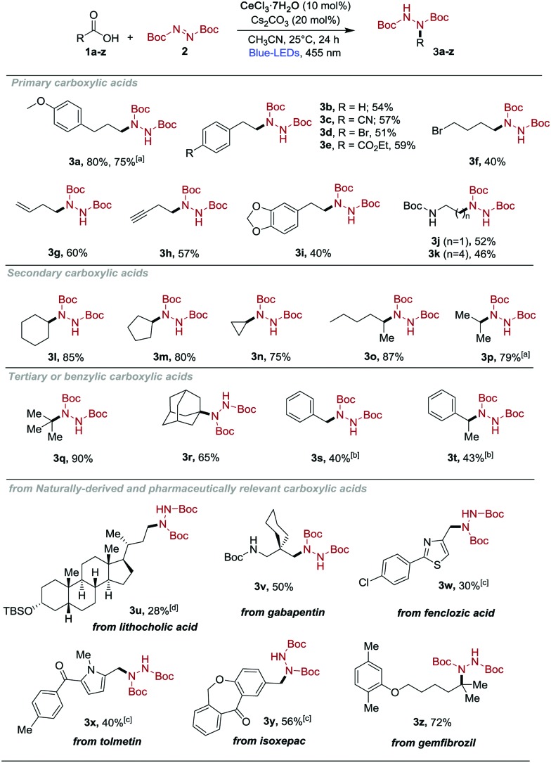 Scheme 3