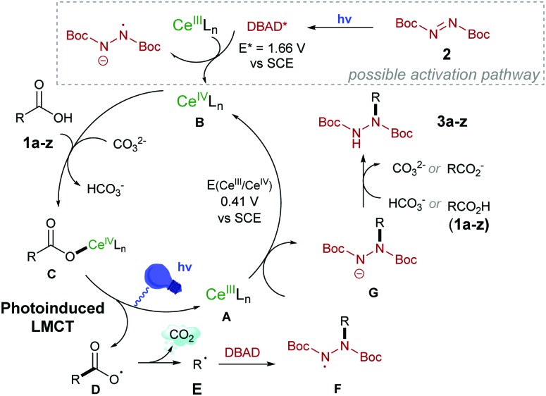 Scheme 6