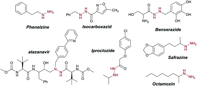 Scheme 1