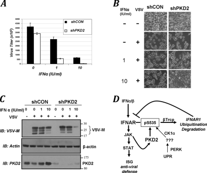 FIG. 7.