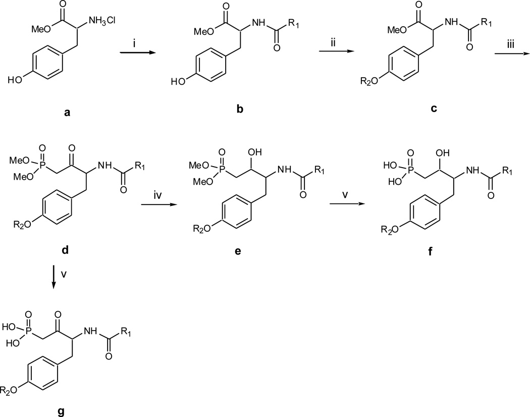 Scheme 1