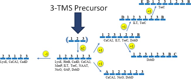 Fig 1