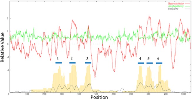 Fig 2