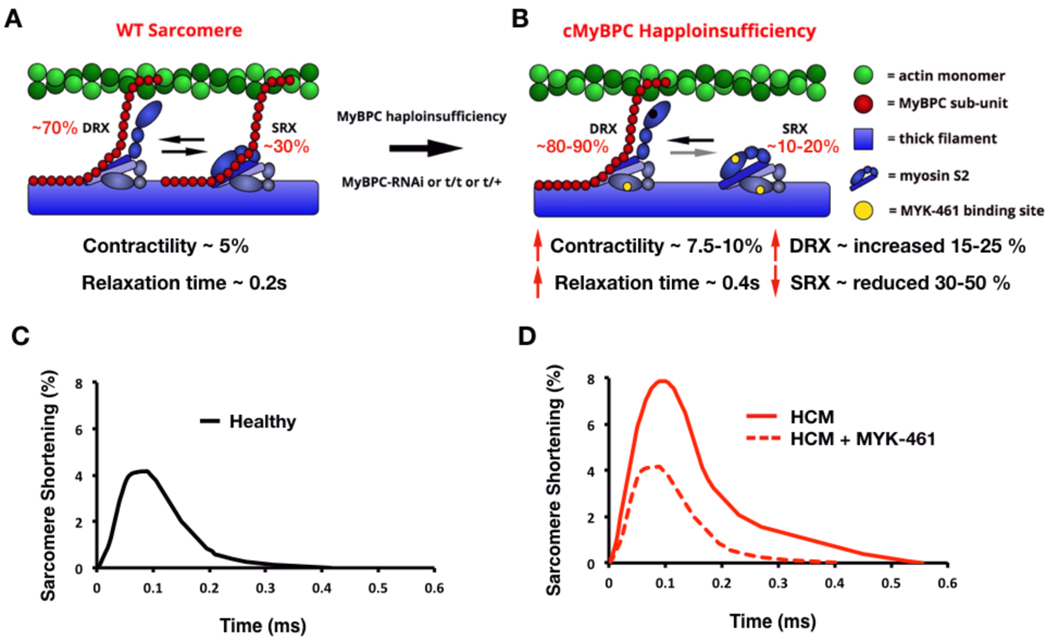 Figure 4: