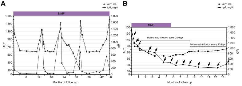 Fig. 2